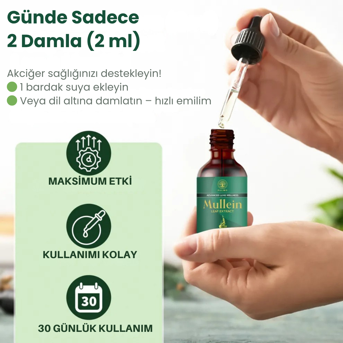 Mullein – Bitkisel Akciğer Temizleyici Damla